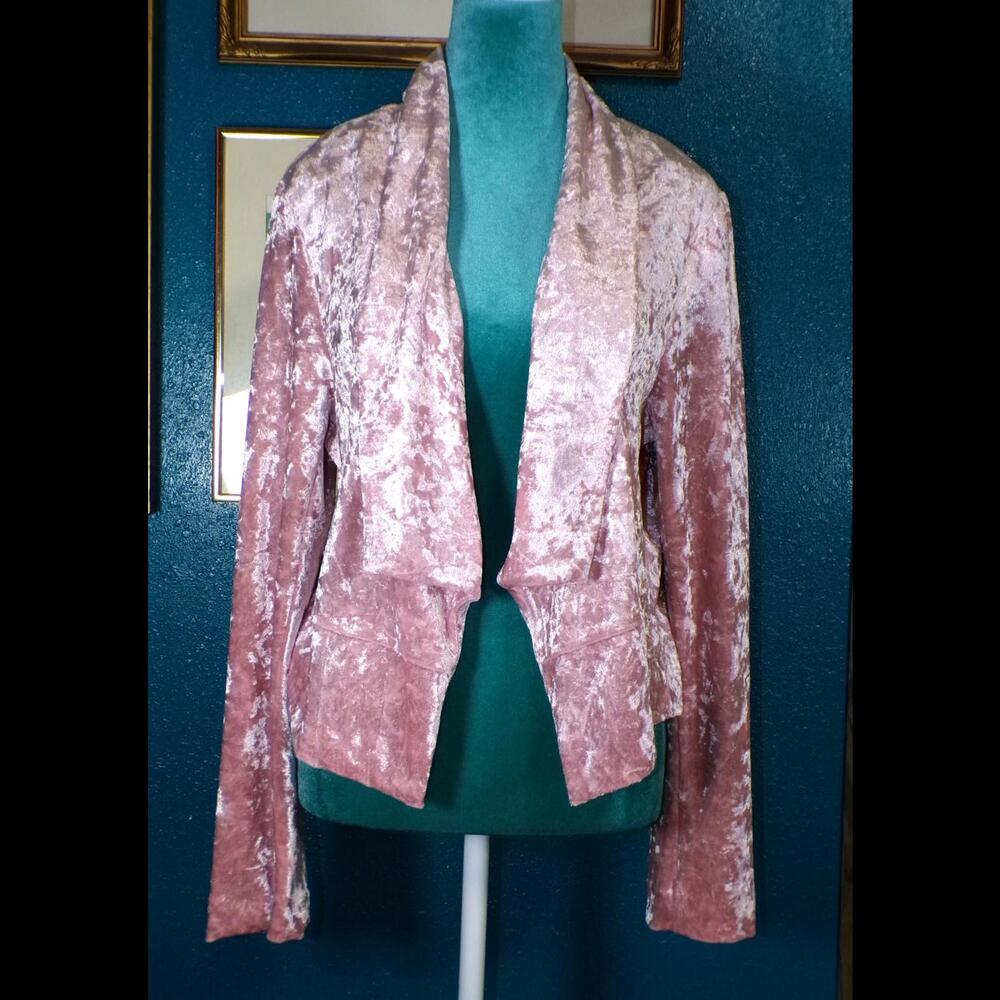 Chic Velvet Blazer by Soho Apparel Ltd.